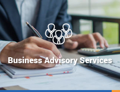 Business Advisery Services